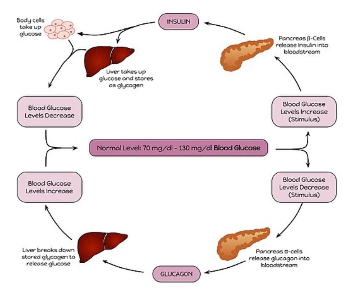 Clinical Validation – Diabetic Ketoacidosis (DKA)