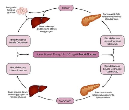 Clinical Validation – Diabetic Ketoacidosis (DKA) Blog Picture 1