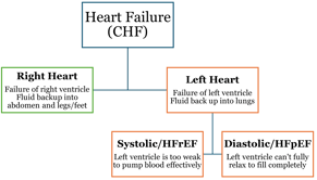 Coding Heart Failure Documented as HFrEF or HFpEF