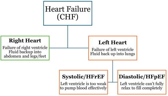 Coding Heart Failure Documented as HErEF or HFpEF Picture 3
