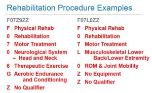 Rehabilitation examples