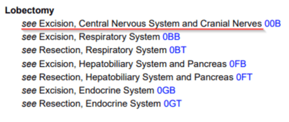 Lobectomy index