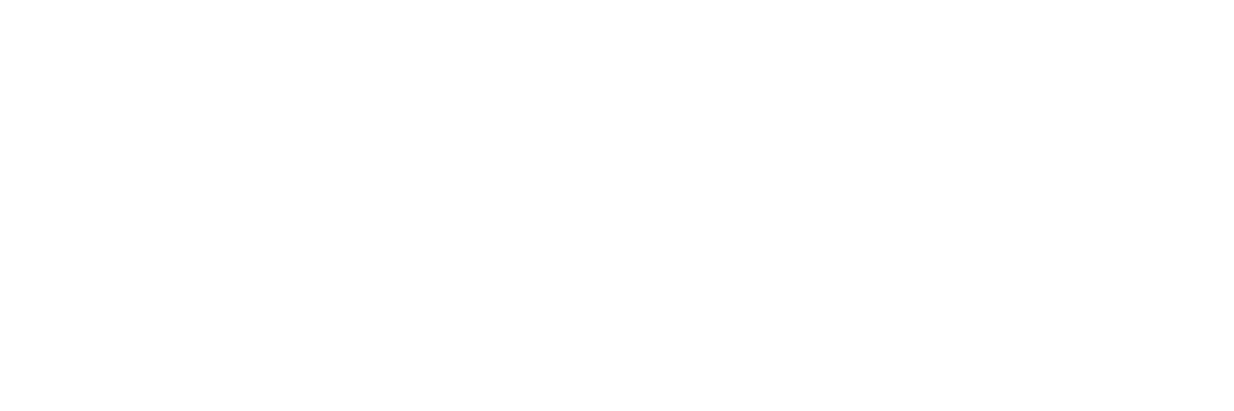 Health Information Associates Health Information Associates