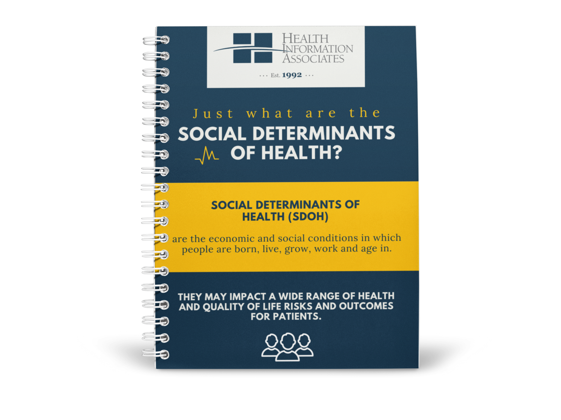 Social Determinants of Health infograph
